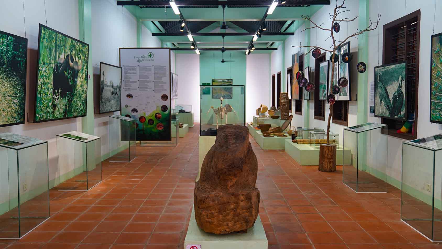 Environment Gallery